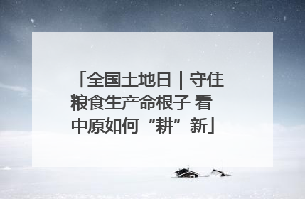全国土地日｜守住粮食生产命根子 看中原如何“耕”新