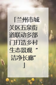 兰州市城关区五泉街道联动多部门打造乡村生态景观“洁净长廊”