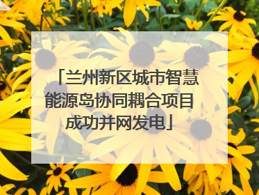 兰州新区城市智慧能源岛协同耦合项目成功并网发电