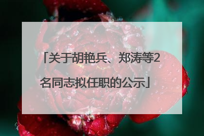 关于胡艳兵、郑涛等2名同志拟任职的公示