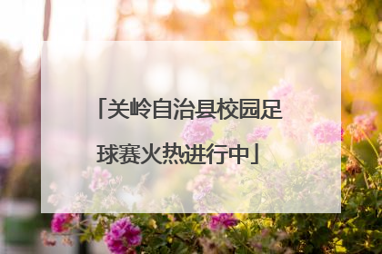 关岭自治县校园足球赛火热进行中