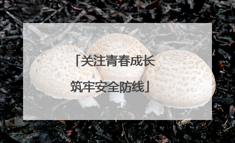 关注青春成长 筑牢安全防线