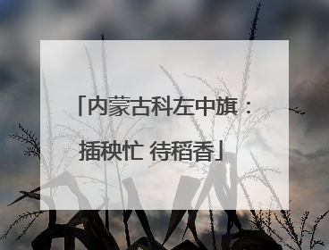 内蒙古科左中旗：插秧忙 待稻香
