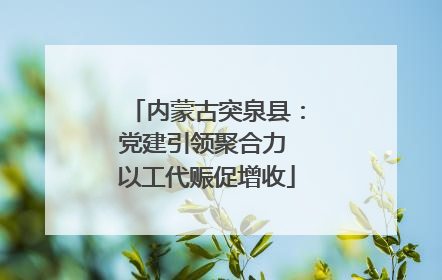 内蒙古突泉县：党建引领聚合力 以工代赈促增收