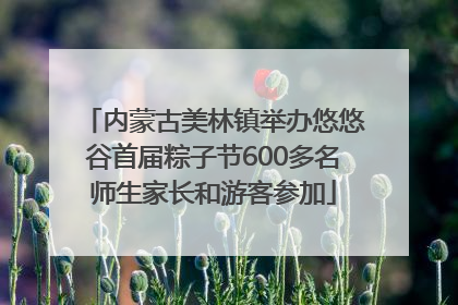 内蒙古美林镇举办悠悠谷首届粽子节600多名师生家长和游客参加