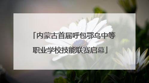 内蒙古首届呼包鄂乌中等职业学校技能联赛启幕