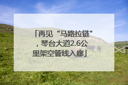 再见“马路拉链”，琴台大道2.6公里架空管线入廊