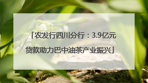 农发行四川分行：3.9亿元贷款助力巴中油茶产业振兴