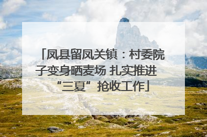 凤县留凤关镇：村委院子变身晒麦场 扎实推进“三夏”抢收工作