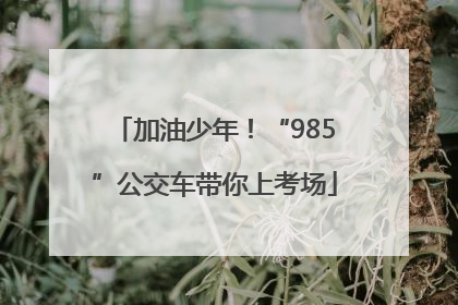 加油少年！“985”公交车带你上考场