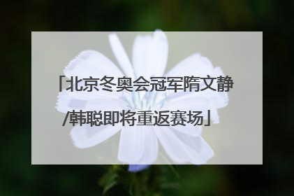北京冬奥会冠军隋文静/韩聪即将重返赛场