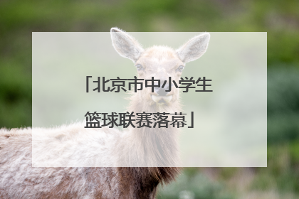 北京市中小学生篮球联赛落幕