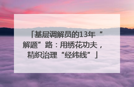 基层调解员的13年“解题”路：用绣花功夫，精织治理“经纬线”
