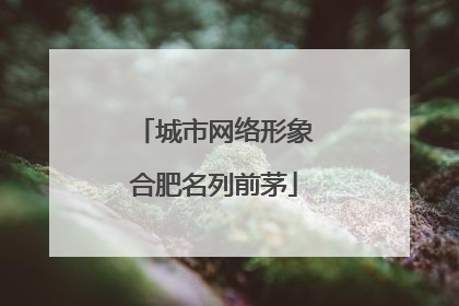 城市网络形象合肥名列前茅