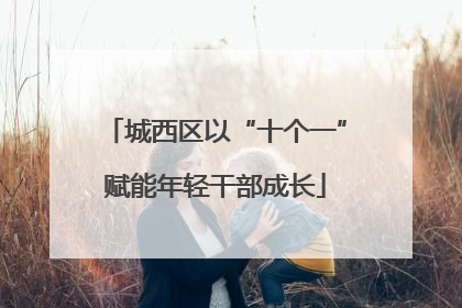城西区以“十个一”赋能年轻干部成长