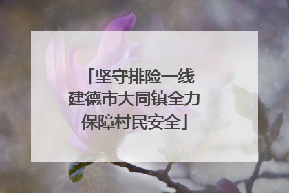 坚守排险一线 建德市大同镇全力保障村民安全