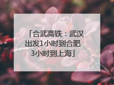 合武高铁：武汉出发1小时到合肥3小时到上海