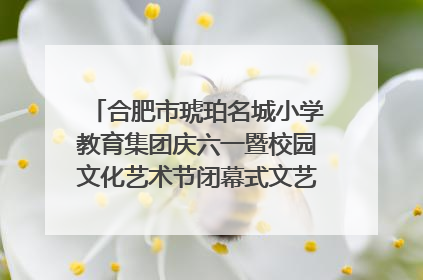 合肥市琥珀名城小学教育集团庆六一暨校园文化艺术节闭幕式文艺汇演圆满举行