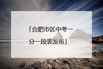 合肥市区中考一分一段表发布