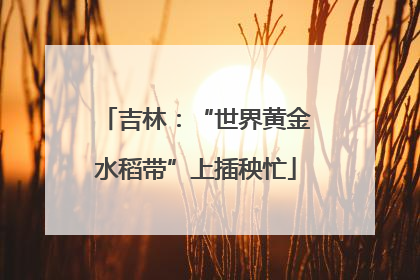 吉林：“世界黄金水稻带”上插秧忙