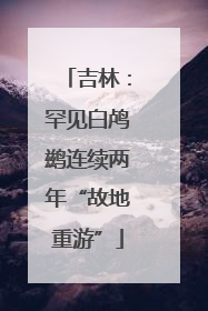 吉林：罕见白鸬鹚连续两年“故地重游”