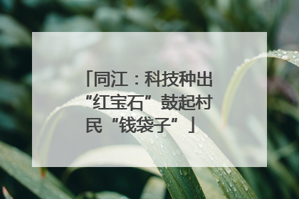 同江：科技种出“红宝石”鼓起村民“钱袋子”