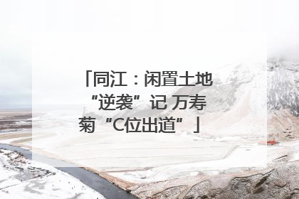同江：闲置土地“逆袭”记 万寿菊“C位出道”