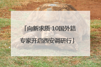 向新求质 10国外籍专家开启西安调研行