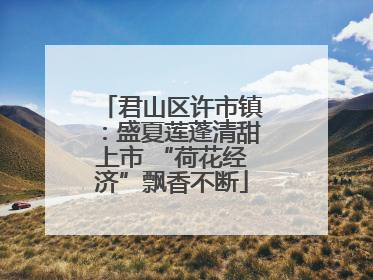君山区许市镇：盛夏莲蓬清甜上市 “荷花经济”飘香不断