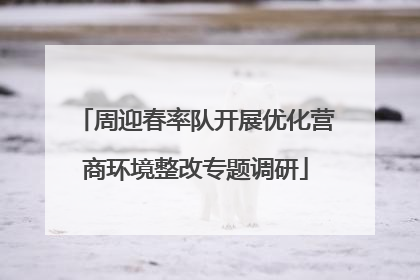 周迎春率队开展优化营商环境整改专题调研