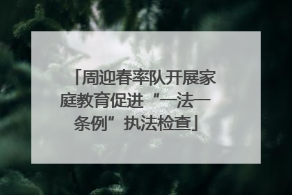 周迎春率队开展家庭教育促进“一法一条例”执法检查