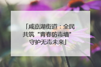 咸嘉湖街道：全民共筑“青春防毒墙” 守护无毒未来