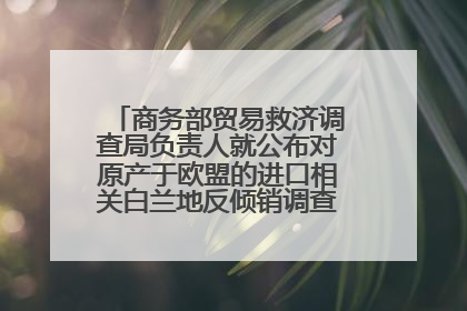 商务部贸易救济调查局负责人就公布对原产于欧盟的进口相关白兰地反倾销调查最终裁定答记者问