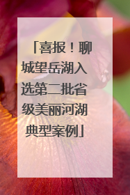喜报！聊城望岳湖入选第二批省级美丽河湖典型案例