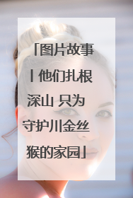 图片故事丨他们扎根深山 只为守护川金丝猴的家园