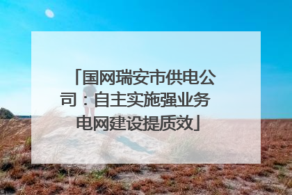国网瑞安市供电公司：自主实施强业务 电网建设提质效