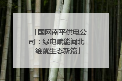 国网南平供电公司：绿电赋能闽北 绘就生态新篇