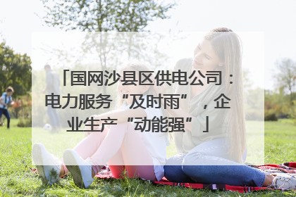 国网沙县区供电公司：电力服务“及时雨”，企业生产“动能强”