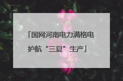 国网河南电力满格电护航“三夏”生产