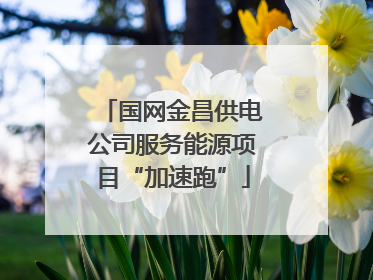 国网金昌供电公司服务能源项目“加速跑”