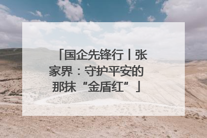 国企先锋行丨张家界：守护平安的那抹“金盾红”