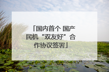 国内首个 国产民机“双友好”合作协议签署