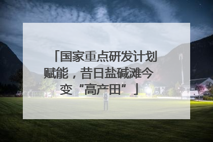 国家重点研发计划赋能，昔日盐碱滩今变“高产田”