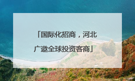 国际化招商，河北广邀全球投资客商