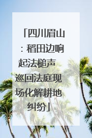 四川眉山：稻田边响起法槌声 巡回法庭现场化解耕地纠纷