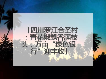 四川罗江合圣村：青花椒飘香满枝头，万亩“绿色银行”迎丰收