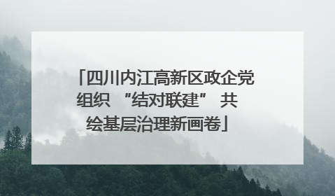 四川内江高新区政企党组织 “结对联建” 共绘基层治理新画卷