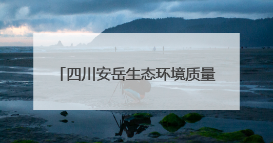 四川安岳生态环境质量持续向好：2024年优良天数324天，多项数据实现100%