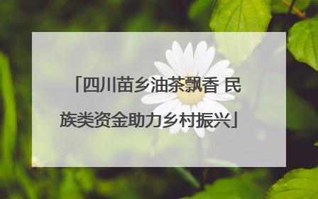 四川苗乡油茶飘香 民族类资金助力乡村振兴