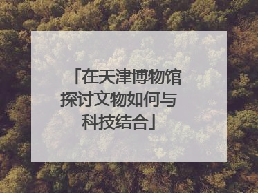在天津博物馆探讨文物如何与科技结合